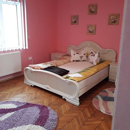 Casa Ade Lejlighed Călimăneşti Eksteriør billede