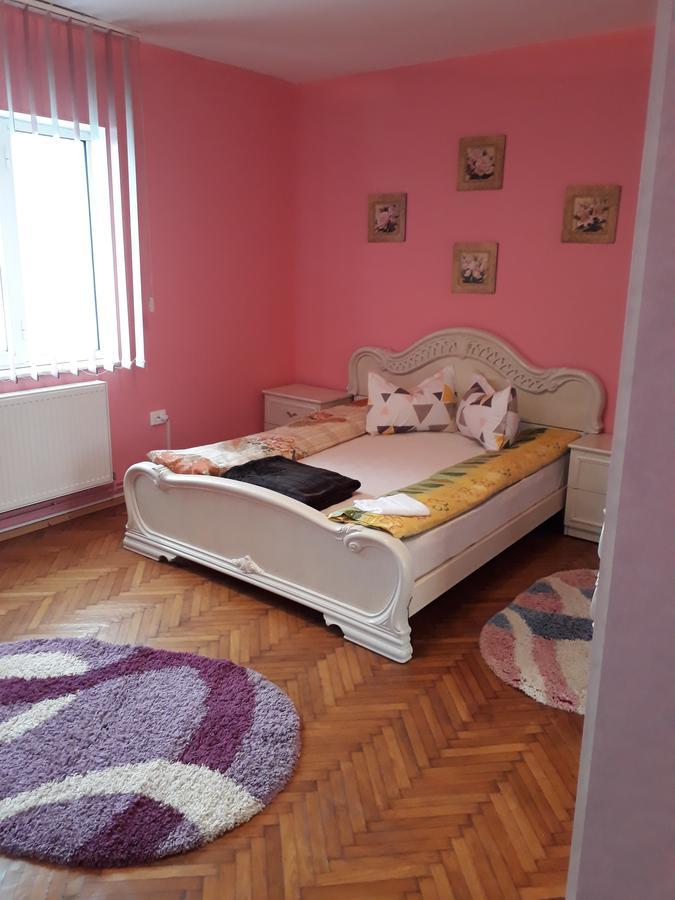 Casa Ade Lejlighed Călimăneşti Eksteriør billede