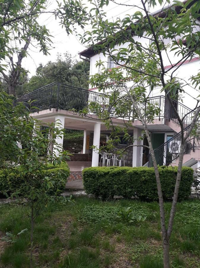 Casa Ade Lejlighed Călimăneşti Eksteriør billede