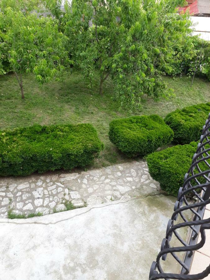 Casa Ade Lejlighed Călimăneşti Eksteriør billede